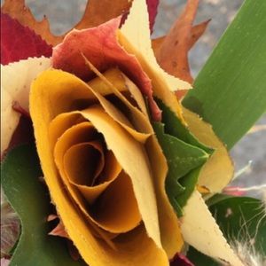 Meet your Posher, Heidi